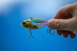 Berkley DEX Ripper -Perhokelat & Lisäkelat myymälä 1572667r 5