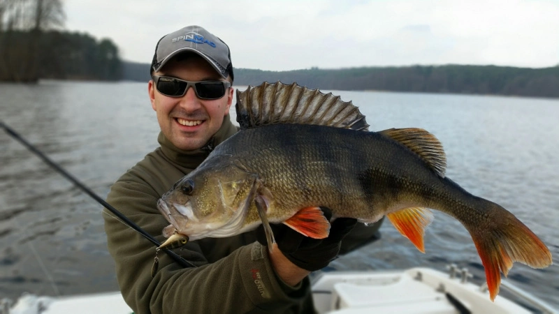 Spinmad Tail Spinner Jigmaster 8g 4 Spinmad Tail Spinner Jigmaster 8g - Image 2