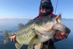 Megabass Dyna Response 14g -Perhokelat & Lisäkelat myymälä MB DR 4513473478703r 3