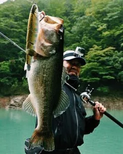 Madness Japan Balam Swimbait -Perhokelat & Lisäkelat myymälä MJPBSIMr 2