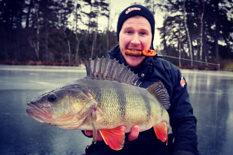 Söder Sportfiske Söder Balance Jig Combo 4 Söder Sportfiske Söder Balance Jig Combo - Image 2